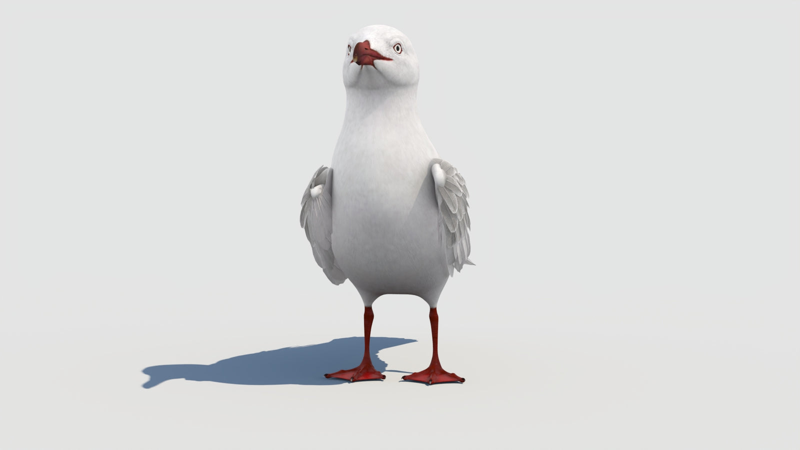 Rigged Seagull 3D Model 360° view 1 frame 8