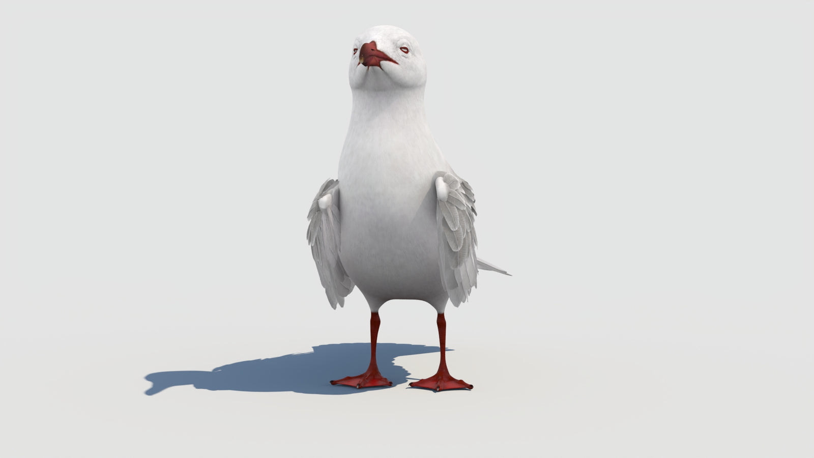 Animated Seagull 3D Model 360° view 1 frame 8