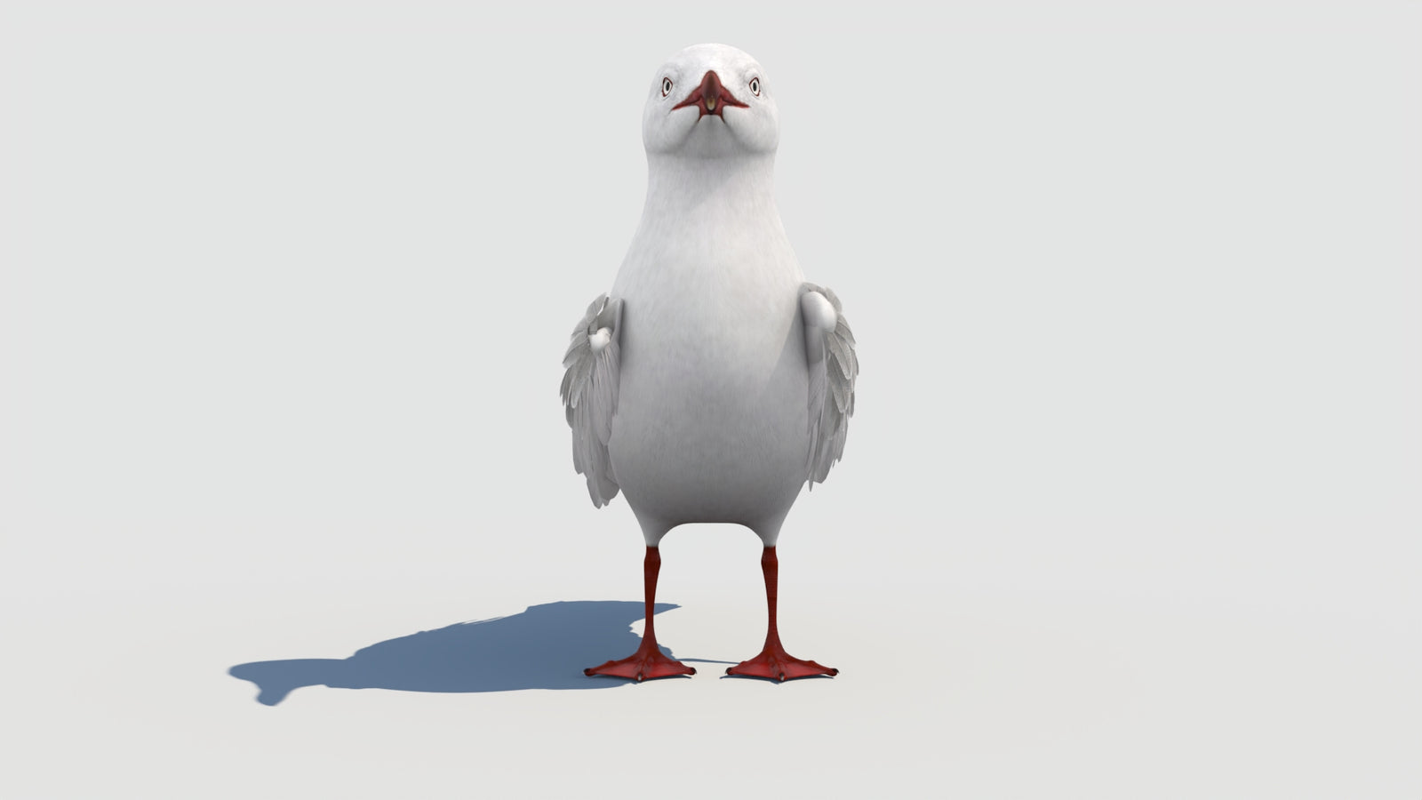 Rigged Seagull 3D Model 360° view 1 frame 9