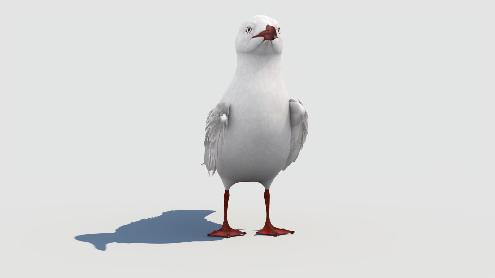 Rigged Seagull 3D Model 360° view 1 frame 10