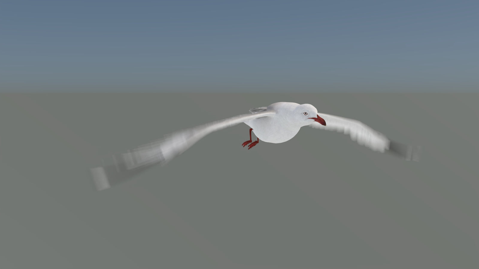 Animated Seagull 3D Model 360° view 5 frame 2
