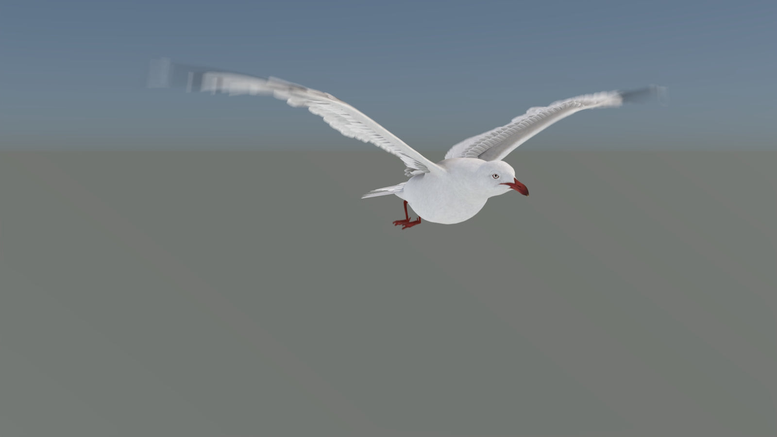 Animated Seagull 3D Model 360° view 5 frame 17