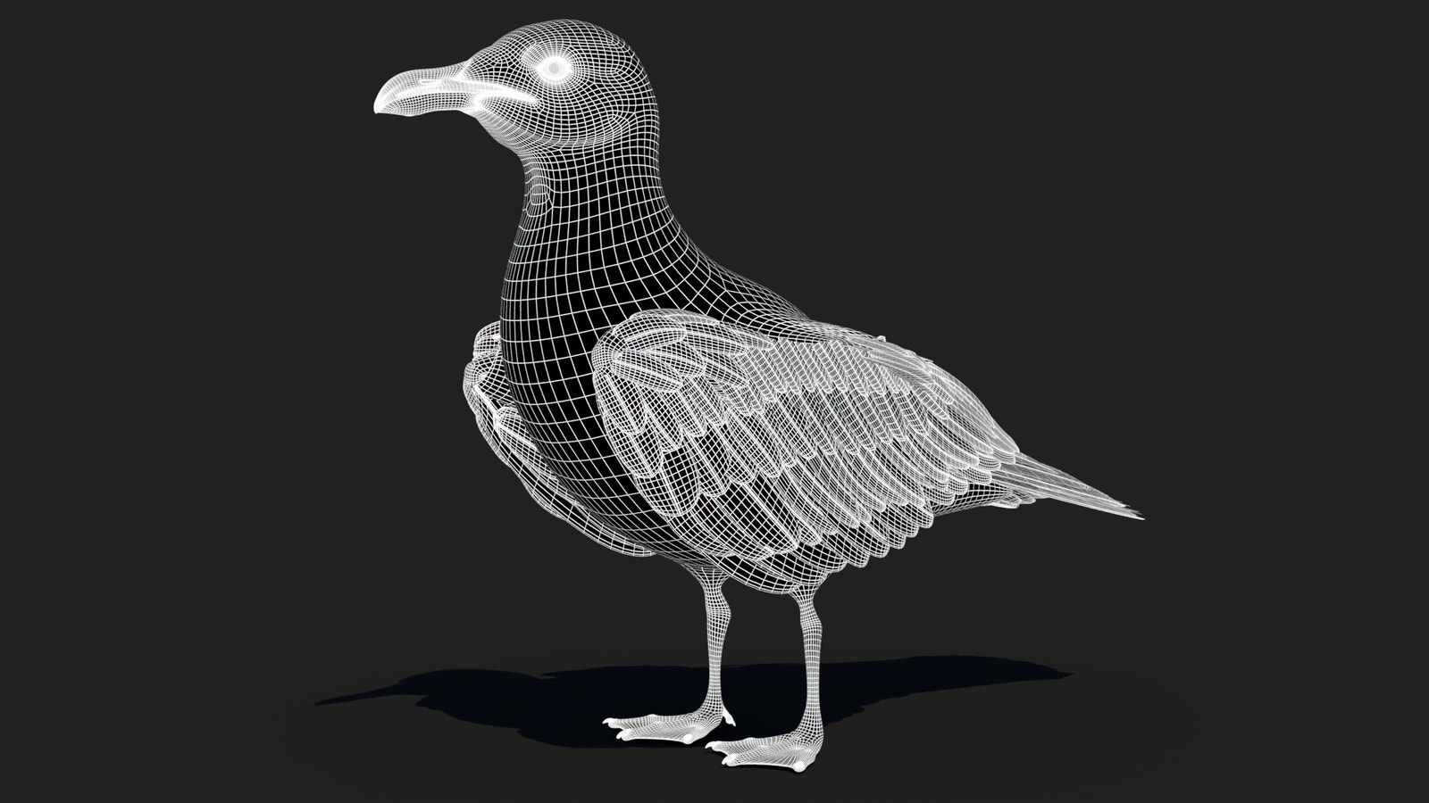 Rigged Seagull 3D Model