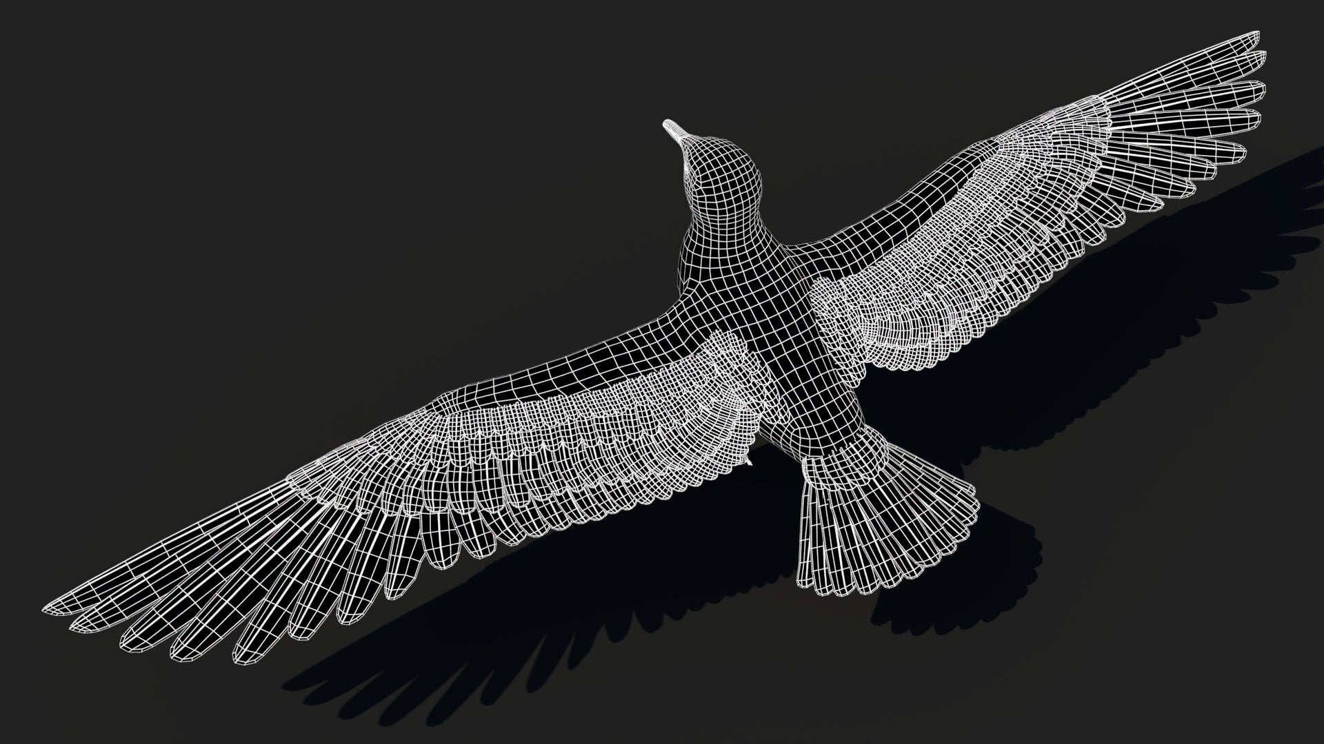 Seagull 3D Model Wireframe View Subdivision Level 0