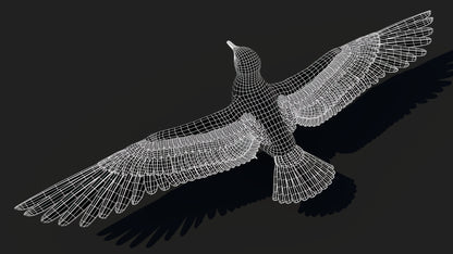 Animated Seagull 3D Model