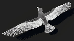 Seagull 3D Model Wireframe View Subdivision Level 1 Thumbnail