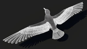 Rigged Seagull 3D Model Thumbnail