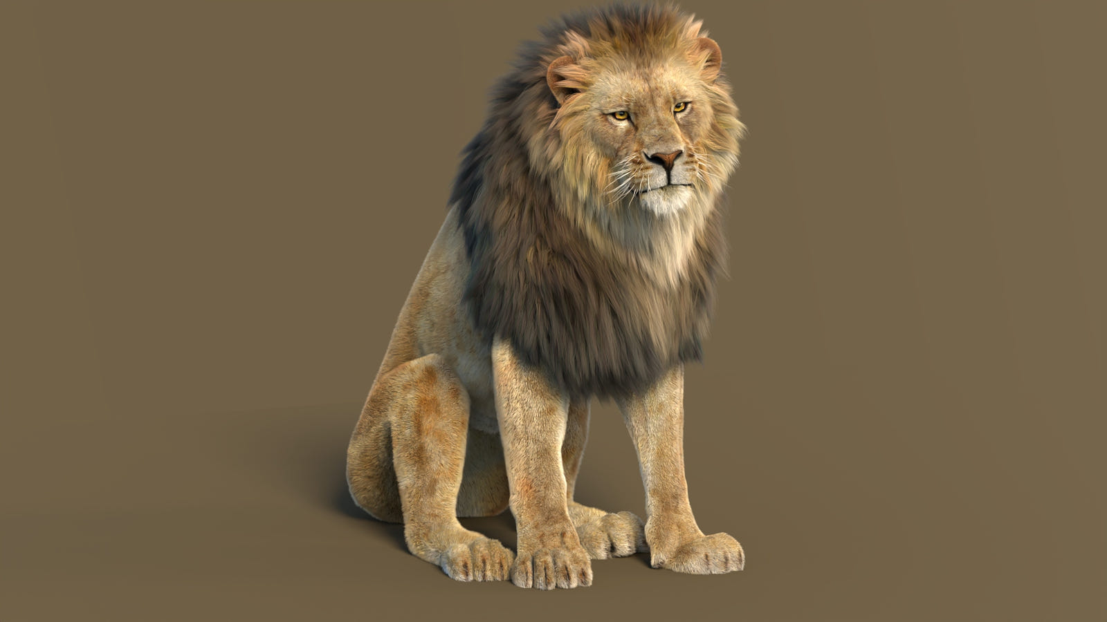 Seated Lion 3D Model - Rigged Model with Detailed Fur