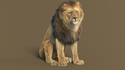 Seated Lion 3D Model - Rigged Model with Detailed Fur