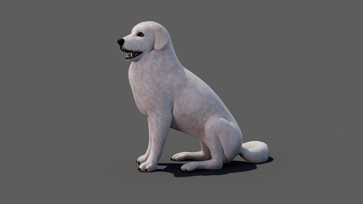 Rigged Great Pyrenees Dog 3D Model - Game-Ready - 360 Degree View