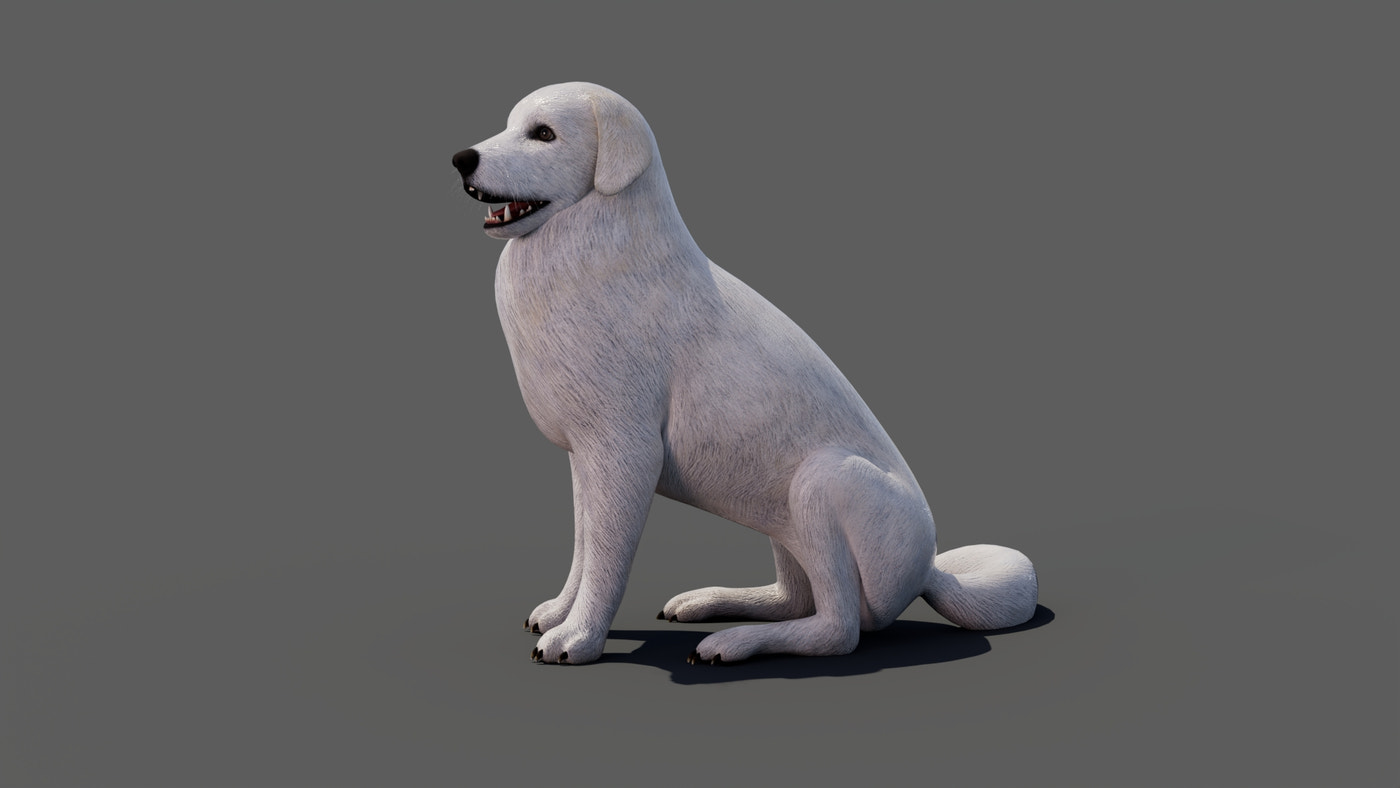 Rigged Great Pyrenees Dog 3D Model - 360 Degree View