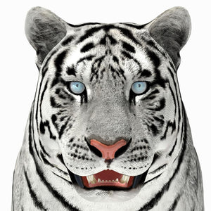 Siberian White Tiger 3D Model — Close-Up Head Thumbnail
