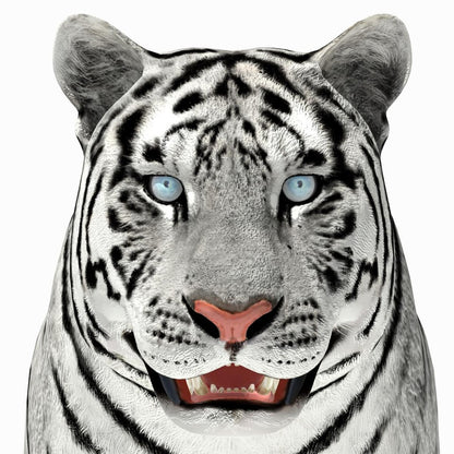 Siberian White Tiger 3D Model — Close-Up Head