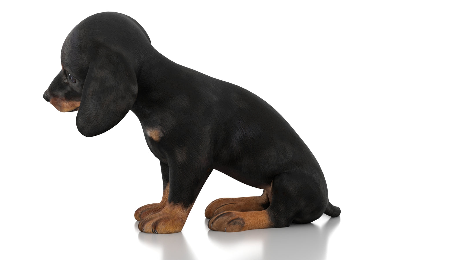 Dachshund Dog Puppy 3D Model Rigged 360° view 3 frame 26