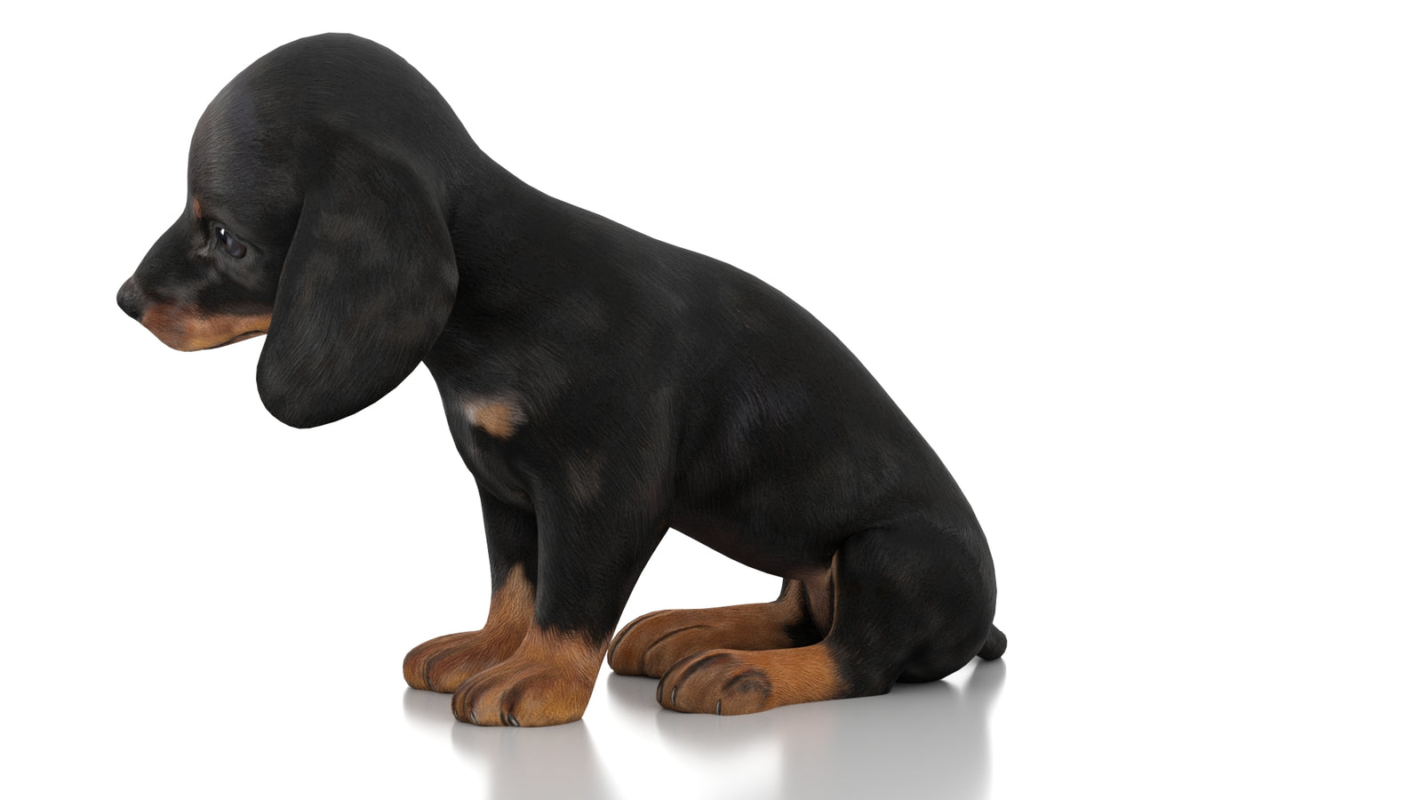 Dachshund Dog Puppy 3D Model Rigged 360° view 3 frame 27