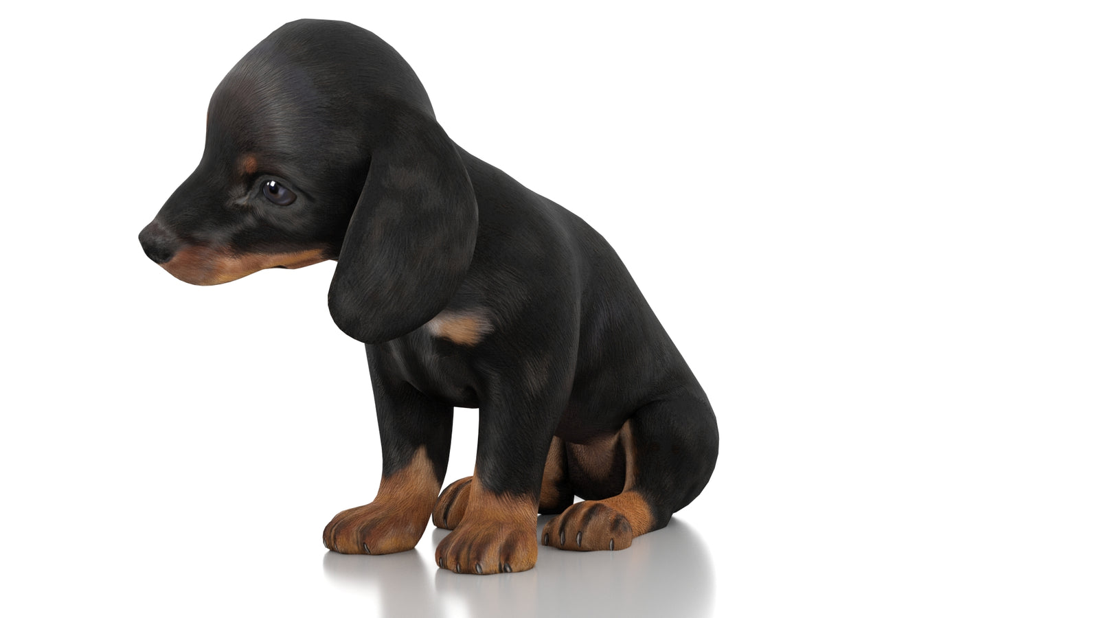 Dachshund Dog Puppy 3D Model Rigged 360° view 3 frame 30