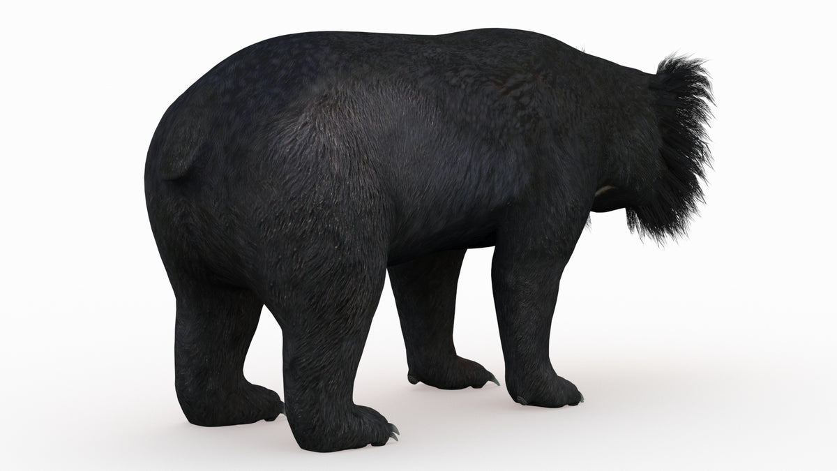 Realistic 3D sloth bear model for game engines