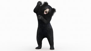 Animated Sloth Bear 3D Model for Download Thumbnail