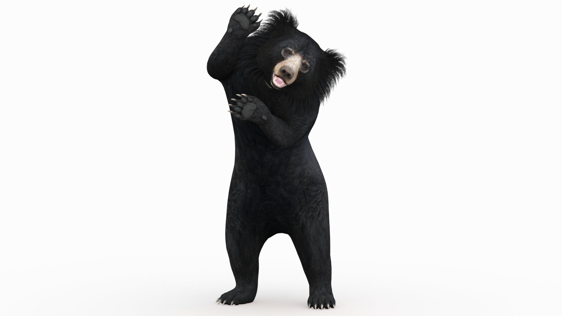 Animated Sloth Bear 3D Model for Download
