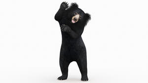 Animated Sloth Bear 3D Model for Download Thumbnail