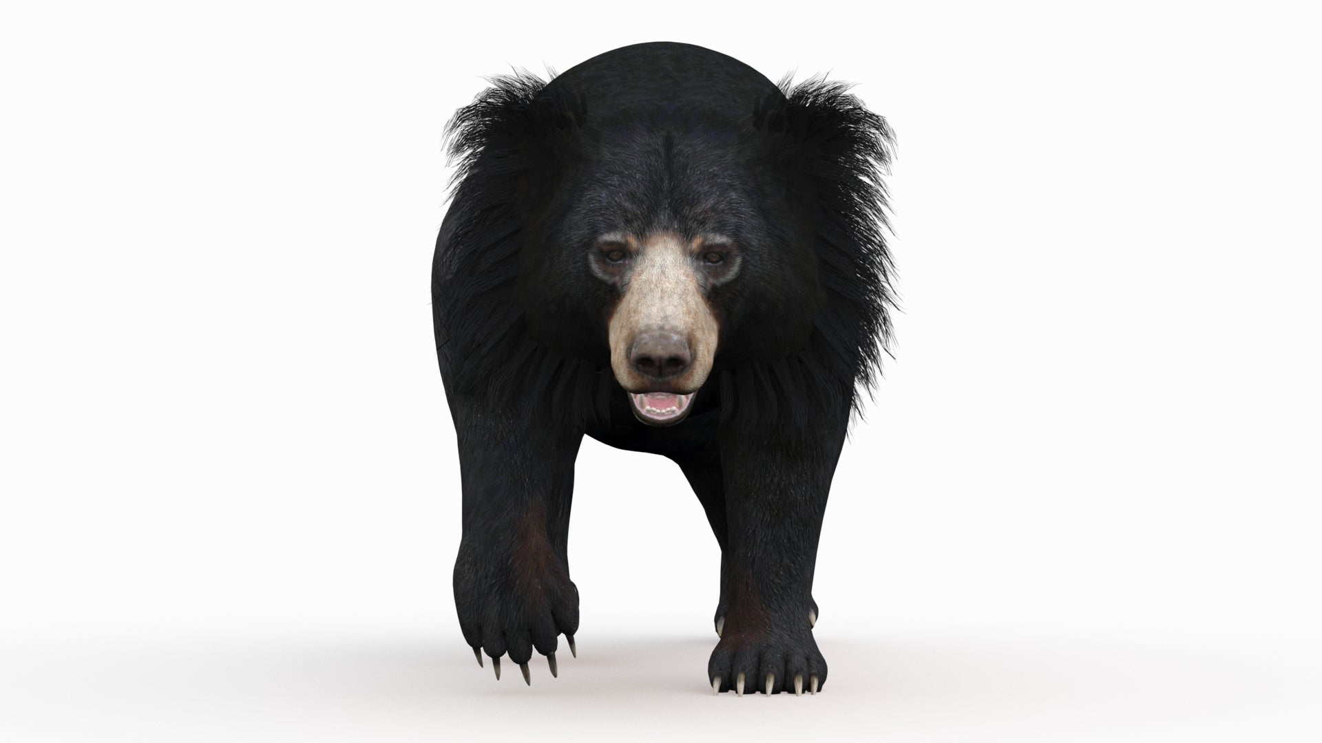 Animated Sloth Bear 3D Model for Download