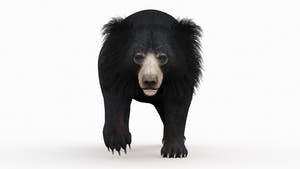 Animated Sloth Bear 3D Model for Download Thumbnail
