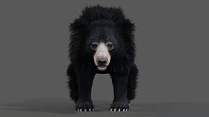 Animated Sloth Bear 3D Model for Download Thumbnail