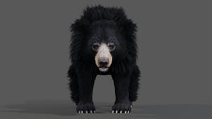 Animated Sloth Bear 3D Model for Download Thumbnail