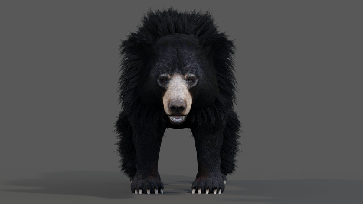 Animated Sloth Bear 3D Model for Download