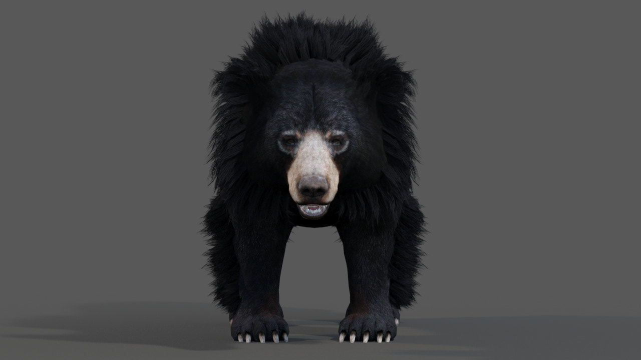 Animated Sloth Bear 3D Model for Download