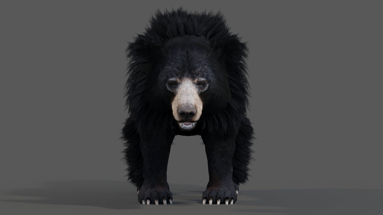 Animated Sloth Bear 3D Model for Download