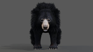 Animated Sloth Bear 3D Model for Download Thumbnail