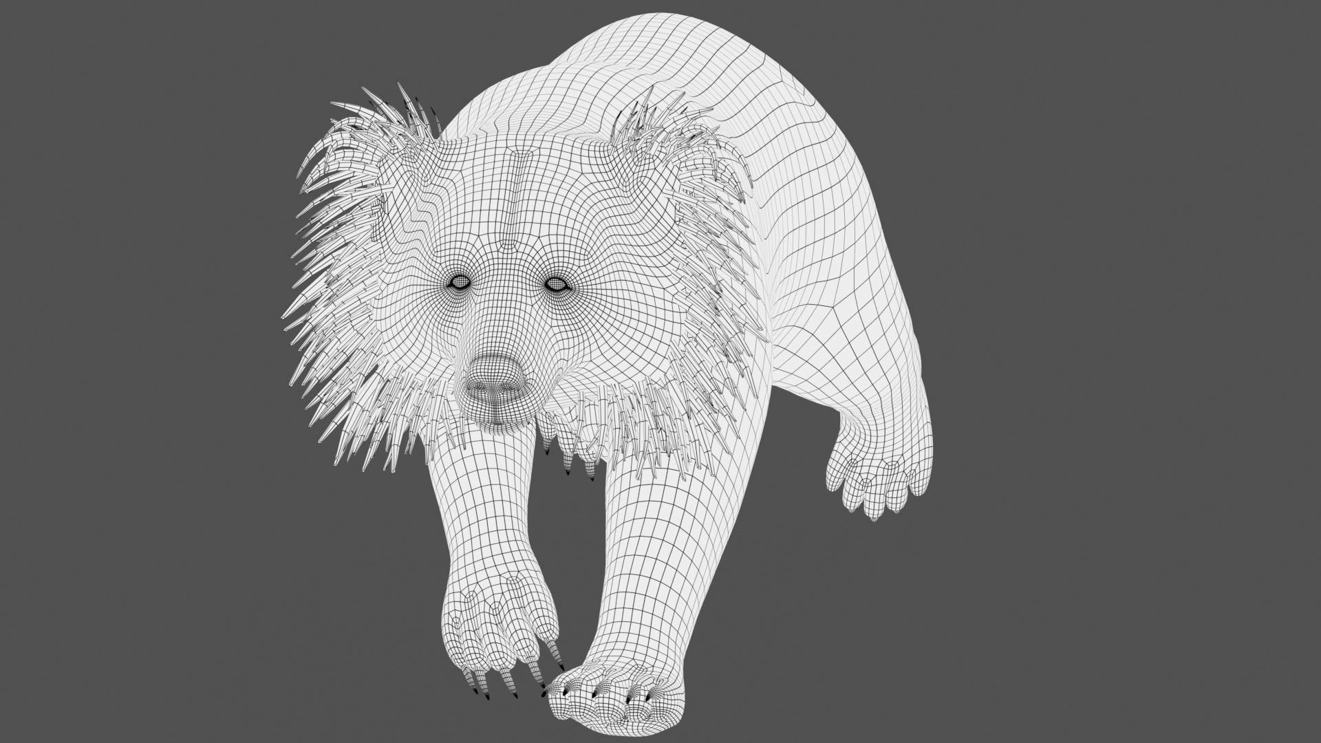 Sloth Bear 3D Model Wireframe 2