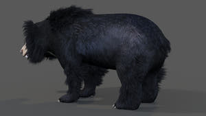 Animated Sloth Bear 3D Model for Download Thumbnail