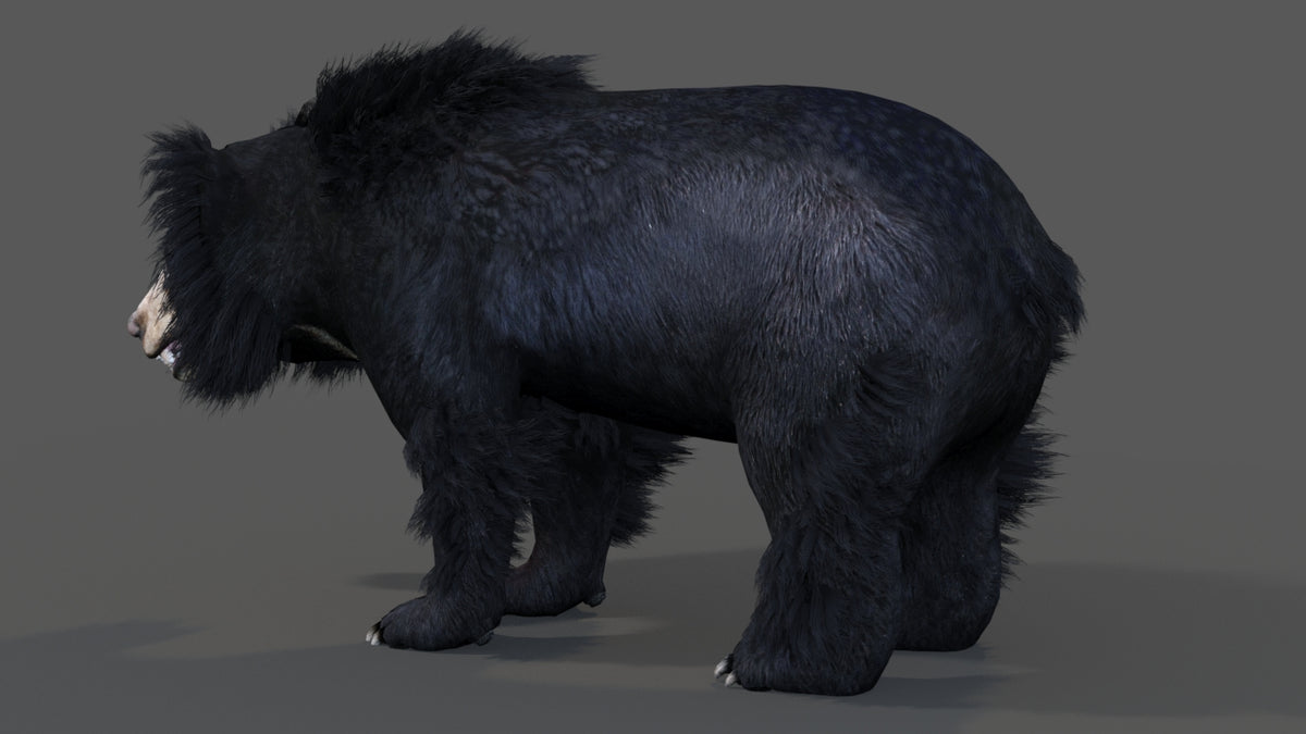 Animated Sloth Bear 3D Model for Download