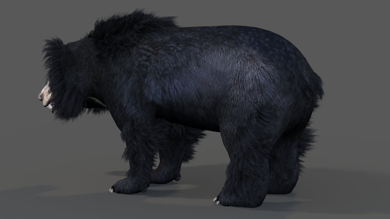 Animated Sloth Bear 3D Model for Download