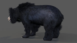 Animated Sloth Bear 3D Model for Download Thumbnail