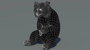 3D wireframe model of a sloth bear on a gray background Thumbnail