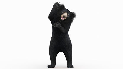 Sloth Bear 3D Model Rigged