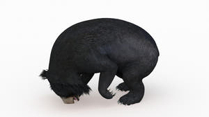 Rigged Sloth Bear 3D Model Digging Pose for Download Thumbnail