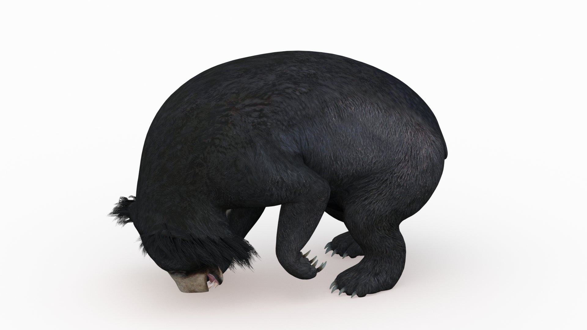 Rigged Sloth Bear 3D Model Digging Pose for Download
