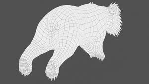 Rigged Sloth Bear 3D Model Wireframe View Subdivision Level 0 - Rear View Thumbnail