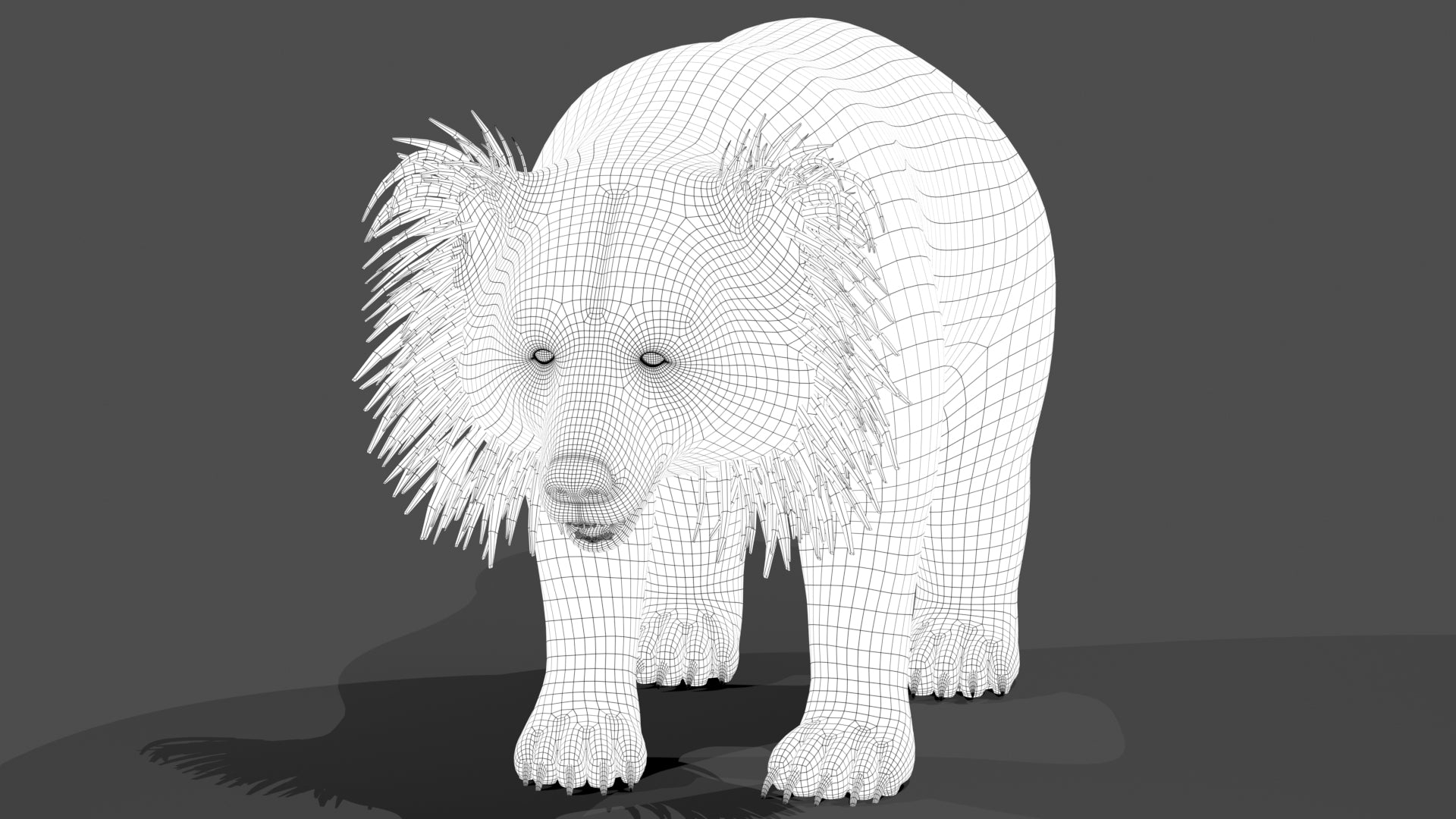 Sloth Bear 3D Model - Wireframe View Subdivision Level 1