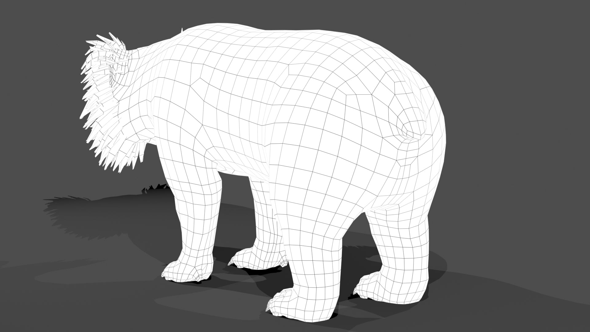 Sloth Bear 3D Model - Wireframe View Subdivision Level 0 rear view