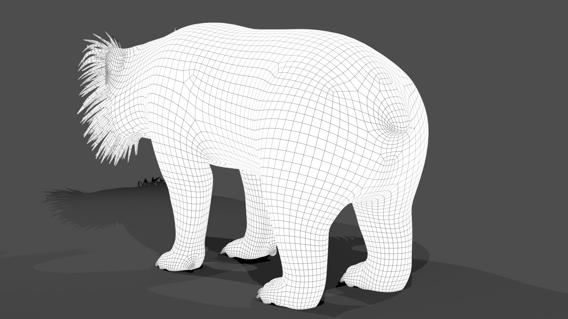 Sloth Bear 3D Model - Wireframe View Subdivision Level 1 - rear view