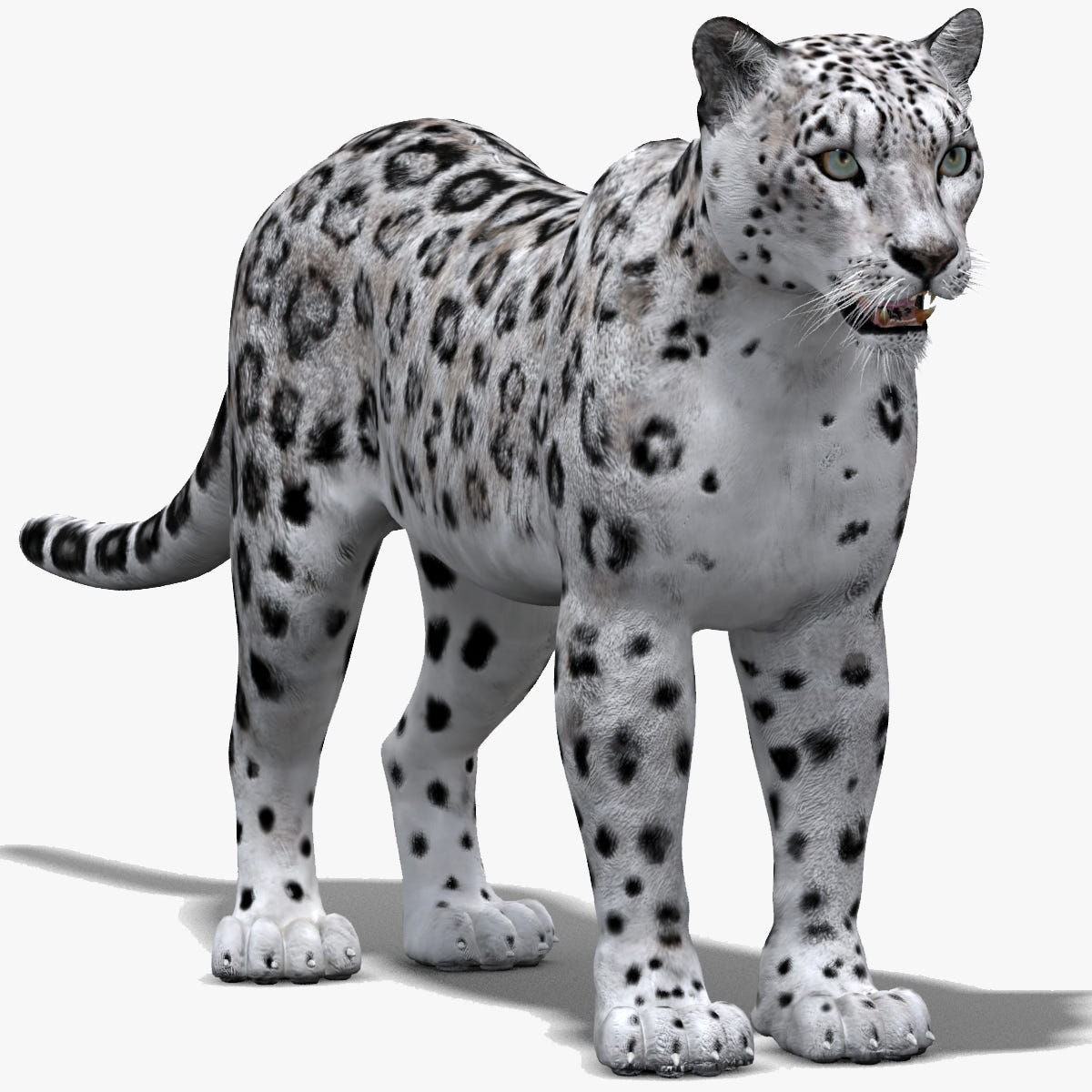 Realistic Snow Leopard 3D Model for Download