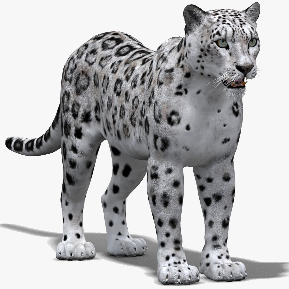 Realistic Snow Leopard 3D Model for Download