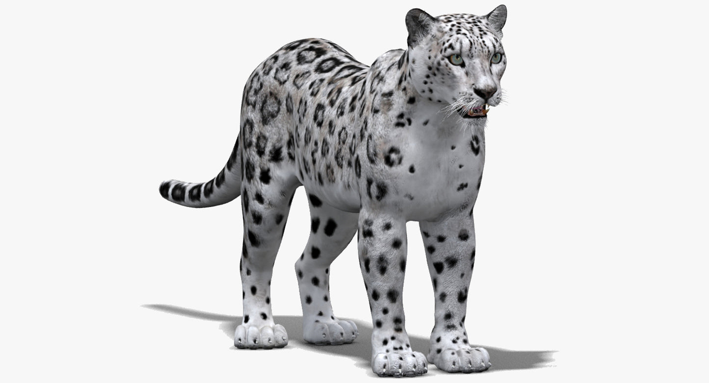 Big Cats 03 3D Model