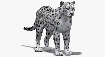 Big Cats 03 3D Model