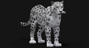 Realistic Snow Leopard 3D Model for Download Thumbnail